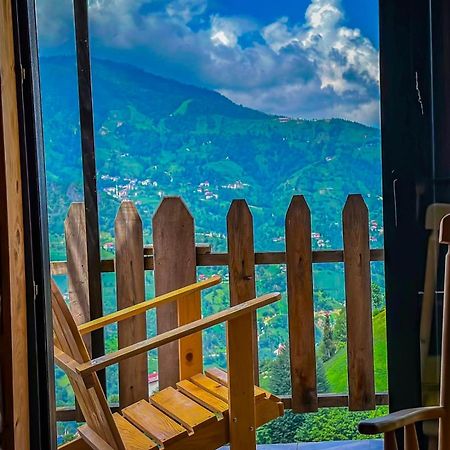 Golden Paws Guesthouse Catalca Luaran gambar